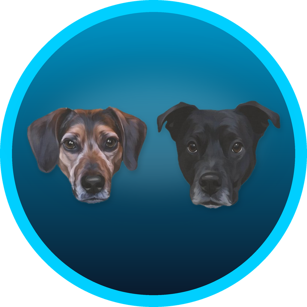 Zoomie and Lucy, Tony's dogs